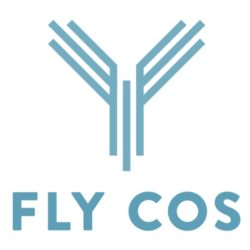 FLY COS blue